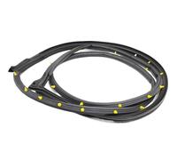for Hyundai for Elantra 2001-2006 821402D000 Door Rubber Weatherstrip Seal Weather-Strip Door Sealing Strip WEFOLEN(Right Front)