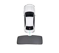 For Hyundai For Santa For Fe For CM 2011 2007-2012 Magnetic Mesh Side Windows Visors Accessories Car Windscreen Sun Shade(Back Sunshade)