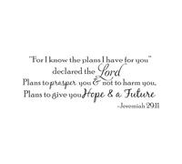 for I Know The Plans Jeremiah 29:11 Lord Wall Sticker Bedroom Bible Verse Hope Word Jesus Religion Wall Decal Vinyl Small - 21x56cm