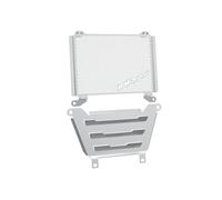 FOR IBEX 800 S T 2021 2022 2023 2024 2025 IBEX800S IBEX800T Motorcycles Radiator Guard Engine Chassis Skid Plate Cover Set Engine Chassis Guard Cover