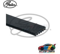 For Jeep Patriot V-Ribbed Belts Gates 6PK1750 EPDM Black 1750 mm 2011-2017
