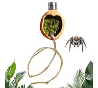 For Jumping Spider Cases | Magnetic Habitat Decoration in Walnut with Rope | Terrarium Enrichment Set | For Geckos, Frogs, Hermitage, Lizards | Cage Decoration For