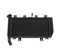 For Kawa&saki Ni&nja Z 400 Ni&nja400 Z400 2018-2023 2022 Motorcycle Engine Radiator Coolant Cooler Cooling Water Tank Water Tanks Guards