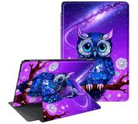 for Kindle Paperwhite Case 10th Generation 6 inch 2018 Release 360 Degree Rotating Stand Protective Smart Cover with Auto Wake Sleep - Blue Owl Galaxy