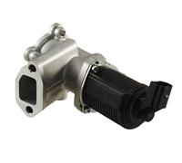 For Lancia Ypsilon EGR Valve 2-Pin 06-11 Hella 6NU 010 171-451 55192348 55195196