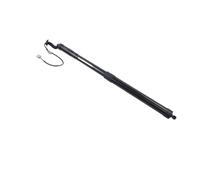 For Lexus NT200 For NX300H NX300 2017 2018 2019 2020 2021 Power Hatch Lift Support Electric Tailgate Gas Struts 68920-79017 68910-79017 AZ10 Boot Gas Struts(Rear Right RH)