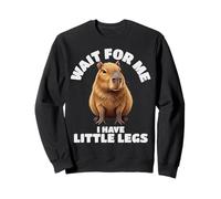 For Me I Have Little Legs Funny Capybara Graphic Sweatshirt