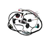 For Motorcycle Atv Pit Bike 50 70 90 110 125cc Wiring Harness Full Complete Electrics Wiring Harness Stator