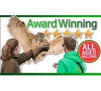 For One: Half Hour Mini Birds of Prey Experience