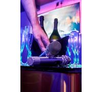 For One Person: Two-Hour Karaoke and Four Alcoholic Drinks