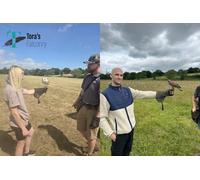 For One: Two-Hour Birds of Prey Experience