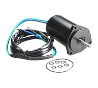 For Outboard Motor 40HP To 100HP 62Y-43880-01 62Y-43880-02 69W-43880 Boat Engine 62Y-43880-00 Tilt Trim Motor Assy Electric Starter Motor