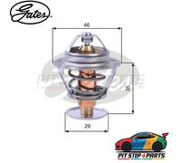 Gates TH10489G1 Thermostat