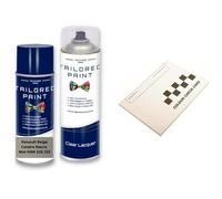 For Renault 2000-Present Beige Cendre Nacre Met HNK 220 Aerosol Spray Paint Rattle Can With Wide Fan Spray Nozzle (Aerosol Paint + Lacquer)