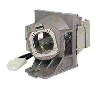 For RLC-109 Replacement Projector Lamp For PA503W / PG603W VS16907 PS501W PS600W(Bulb with housing)