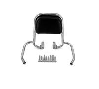 For Royal Alloy GP300 GP250 GP200 GP150 Motorcycle Backrest Rear Passenger Seat Back Rest Protection Pad(Chrome)