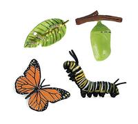 For Simulation Life Cycle Figurine Of A Monarch Butterfly Growth Cycle Insect Animals Educational