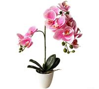 for Soft Touch Fake Butterfly Orchid Flowers with Stone Base