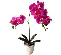 for Soft Touch Fake Butterfly Orchid Flowers with Stone Base