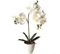 for Soft Touch Fake Butterfly Orchid Flowers with Stone Base
