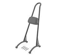 For Sportster XL 1994-2003 883 1200 Chrome Gloss Black Tall Sissy Bar Pad Backrest Motorcycle Accessories Luggage Carrier Bracket(Black)