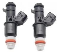 for Suzuki for Quadracer 450 LT-R450 LTR450 2006-2009 1571045G01 15710 45G01 1/2X 15710-45G01 Nozzle Petrol Fuel Injector Fuel Injection Nozzle(2pcs)