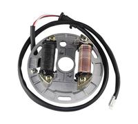 For Suzuki LT80 1987-2000 2001 2002 2003 2004 2005 2006 2 Coil Ignition Magneto Stator Plate Motorcycle Stator Coil