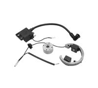 For SX 50 50Cc Motorcycle Internal Rotor Ignition Coil Ignition System 2001 To 2013 Stator Dirt Bike Motocross