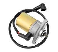 For Tao Tao For Jonway For Sunl For Roketa For Baja For Peace Sports GY6 47cc 49cc 50cc 4-Stroke QMB139 Engine Scooter Starter Motor Starter Motor Motorcycle