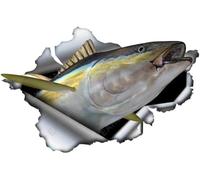 for Tear Fish Vinyl Car Stickers Windshield Funny Decal Surfboard Motorcycle Car Accessoires Campervan 13cm X 8.3cm（2Pcs）