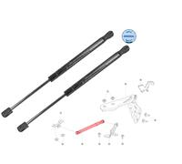 FOR TESLA MODEL 3 2017-X2 FRONT BONNET GAS SPRING HYDRAULIC PNEUMATIC ROD MEYLE