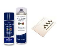 For Tesla Model Y Deep Ocean Blue Pearl Metallic PPSB Aerosol Spray Paint Stone Chip Scratch Repair (Touch Up Paint + Lacquer)