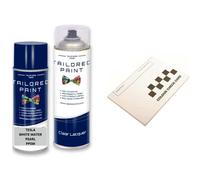For Tesla Model Y White Water Pearl PPSW Aerosol Spray Paint Stone Chip Scratch Repair (Touch Up Paint + Lacquer)