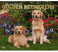 For the Love of Golden Retrievers | 2024 14 x 24 Inch Monthly Deluxe Wall Calendar | Foil Stamped Cover | BrownTrout | Animal Dog Breeds