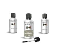 For Toyota 2000-Present Aspen Grey 1 G6 Touch Up Paint Pen With Brush (Touch Up, Lacquer + Primer)