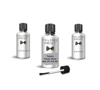 For Toyota 2000-Present Classic Silver Met 1 F7 1 C0 1 E7 Touch Up Paint Pen With Brush (Touch Up)