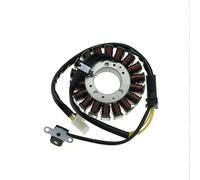 For Triumph For Daytona For Speed For Triple 675 675R 2006-2017 Motorcycle Magneto Stator Ignition Generator Coil T1300039 Motorcycle Stator Coil