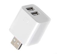 For Tuya For Smart Life App Supported USB Adapter Switch 1 2 or 3 Gang for Mini For Smart Power Socket with For Zigbee Network Compatibility (2 Gang)
