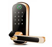 For Tuya Smart Fingerprint Door Lock App Remote Control Keyless Gold
