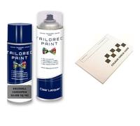 For Vauxhall 2000-Present Cassiopeia Silver 10 J 192 Aerosol Spray Paint Professional Wide Fan Spray Nozzle (Aerosol Paint + Lacquer)
