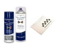 For Vauxhall 2000-Present Satin Steel Grey Met 10 B Gf6 Aerosol Spray Paint Professional Wide Fan Spray Nozzle (Aerosol Paint + Lacquer)