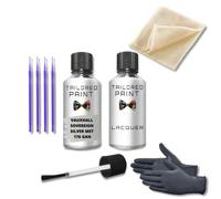For Vauxhall Astra 2015 - Present Touch Up Paint Repair Kit Scratch Stone Chip Fix (Sovereign Silver 176 Touch Up Paint Pen + Lacquer)