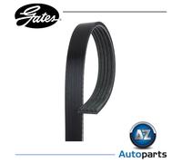 Gates 5PK1765 V-Ribbed Belt