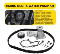 INA 530 0495 30 Water pump and timing belt kit