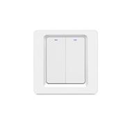 For ZigBee Smart Light Switch 600W Panel for Voice and Remote Control Access (2 gang)