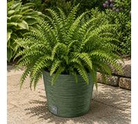 Fora Eco Round Decorative Plant Pot - Modern Recycled Plastic Design