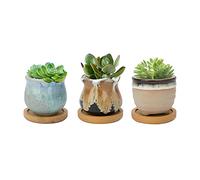 FORAGIFT 6.5CM Ceramic Succulent Plant Pot, Cactus Pots for Indoor Outdoor Plants, Small Flower Pot Flowing Glaze with Drainage and Bamboo Tray, Great for Home Decor, Set of 3 (Plants Not Included)