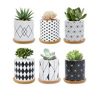 FORAGIFT 7.5CM Succulent Plant Pot, Ceramic Geometric Pattern Cactus Plants Pot, Small Plant Pots for Indoor Outdoor Plants with Bamboo Tray, and Great for Home Office Decor, Set of 6