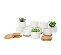 FORAGIFT 7.5CM Succulent Plant Pots, Simple Design Round Small Flower Pot, White Ceramic Cactus Pots with Bamboo Tray and Drainage Hole, Great for Home Office Decor, Set of 12 (Plants Not Included)