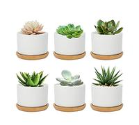 FORAGIFT 7.5CM Succulent Plant Pots, Simple Design Round Small Flower Pot, White Ceramic Cactus Pots with Bamboo Tray and Drainage Hole, Great for Home Office Decor, Set of 6 (Plants Not Included)